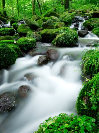 River With Mossy Rocks by Yukihiro Fukuda Pricing Limited Edition Print image