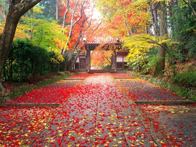Colorful Autumn Scene In Kyoto by Yamanashi Shashin Jimusho Pricing Limited Edition Print image