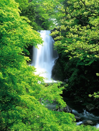 Waterfall by Yashiro Kiyokazu Pricing Limited Edition Print image