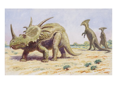 Both The Styracosaurus (Right) And The Parasaurolohus Were Herbivores by National Geographic Society Pricing Limited Edition Print image