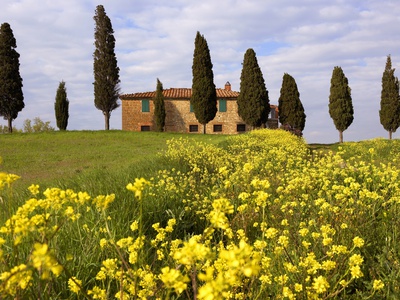 Orcia Valley In Spring by Fabio Muzzi Pricing Limited Edition Print image