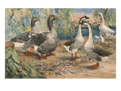 A Painting Of A Pair Of Toulouse Geese And Pairs Of Chinese Geese by Hashime Murayama Pricing Limited Edition Print image