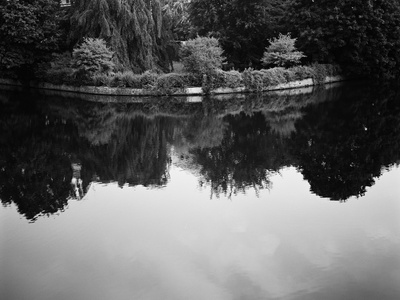 Waterways Xvi by Nicola Dill Pricing Limited Edition Print image
