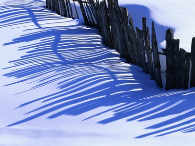Fence Shadow On Snow by Pat O'hara Pricing Limited Edition Print image