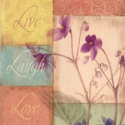 Live Laugh Love by Tammy Repp Pricing Limited Edition Print image