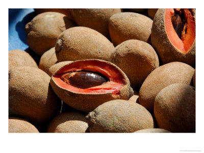 Sapote Fruit For Sale On The Streets Of Guatemala City, Guatemala by Cindy Miller Hopkins Pricing Limited Edition Print image