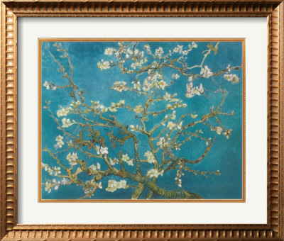Almond Blossom San Remy 1890 by Vincent Van Gogh Pricing Limited Edition Print image