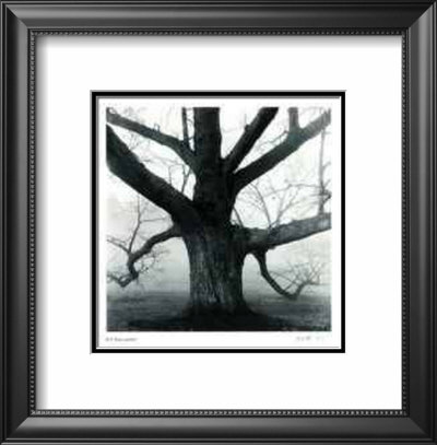 Untitled - Big Tree by B. A. King Pricing Limited Edition Print image