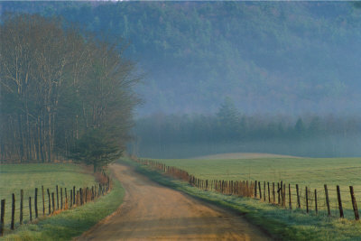 Country Road by Cindy Kassab Pricing Limited Edition Print image