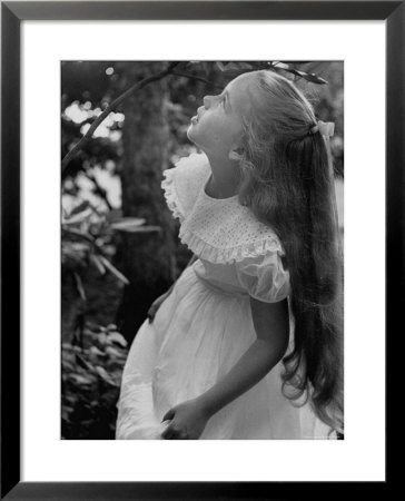 Girl Of The Children's School Of Modern Dancing, Looking Up A Tree by Lisa Larsen Pricing Limited Edition Print image