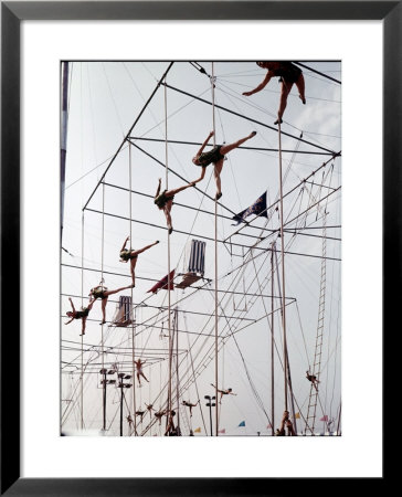 Maze Of Ringling Bros. New Outdoor Rigging Supporting Trapezes And Ropes by Frank Scherschel Pricing Limited Edition Print image