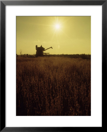 Combine Harvester In Field At Sunset by John Zimmerman Pricing Limited Edition Print image