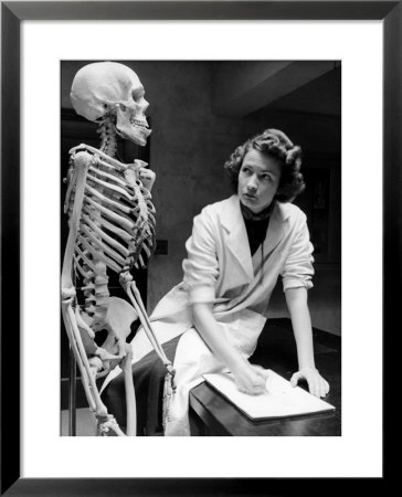 Biology Student Studies Skeleton by Alfred Eisenstaedt Pricing Limited Edition Print image