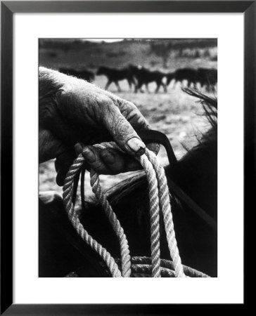 The Rough, Weathered Hand Of An Oldtime Cowboy, Holding Rope by John Loengard Pricing Limited Edition Print image