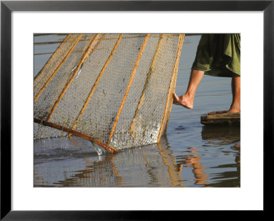 Intha Man Fishing With Cone Shaped Net, Inle Lake, Shan State, Myanmar by Jane Sweeney Pricing Limited Edition Print image