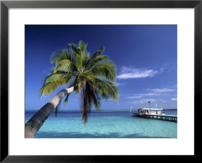 Palm Tree And Tropical Beach, Maldives, Indian Ocean by Jon Arnold Pricing Limited Edition Print image