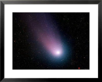 Comet C/2001 Q4 (Neat) by Stocktrek Images Pricing Limited Edition Print image
