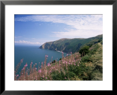South West Peninsula Coast Path, Devon, England, United Kingdom by Chris Nicholson Pricing Limited Edition Print image