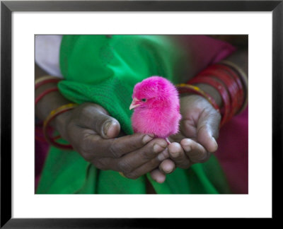 Woman And Chick Painted With Holy Color, Orissa, India by Keren Su Pricing Limited Edition Print image