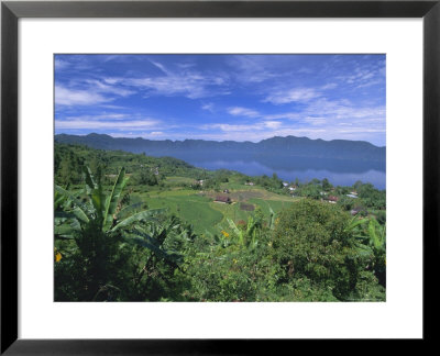 Rice Terraces On Eastern Shore Of Crater Lake, Lake Maninjau, West Sumatra, Sumatra, Indonesia by Robert Francis Pricing Limited Edition Print image