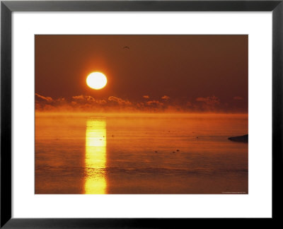 Brilliant Sunrise Over Nosuke Bay With Water Birds by Tim Laman Pricing Limited Edition Print image