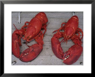Pair Of Steamed American Lobsters by Michael Melford Pricing Limited Edition Print image