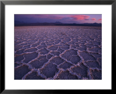 Honeycomb Pattern On The Salar De Atacama Salt Flat At Sunset, Atacama Desert, Chile by Joel Sartore Pricing Limited Edition Print image
