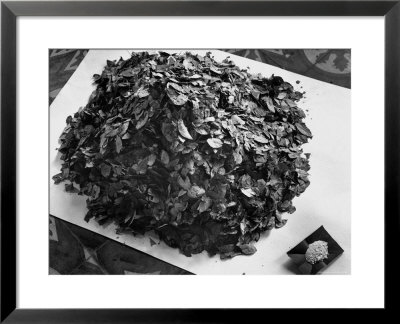 Dried Coca Leaves, From Which Cocaine Is Derived by Eliot Elisofon Pricing Limited Edition Print image