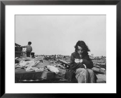 Little Girl With Her Kitten And Brother Looking On At Wreckage After Tornado by Grey Villet Pricing Limited Edition Print image