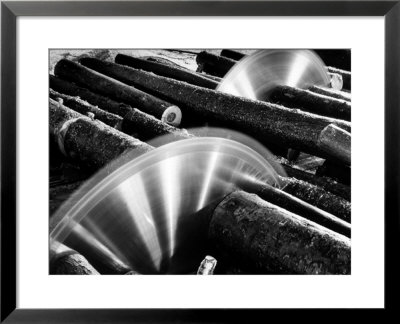 Sixteen-Foot Logs Being Cut In Slasher Mill In Preparation For Next Stage At Paper Mill by Margaret Bourke-White Pricing Limited Edition Print image