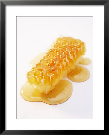 A Piece Of Honeycomb by Marc O. Finley Pricing Limited Edition Print image