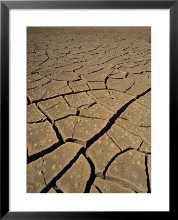 Atacama Desert, Chile, South America by Mcleod Rob Pricing Limited Edition Print image