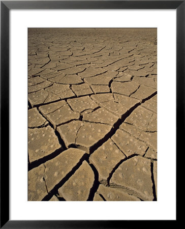 Atacama Desert, Chile, South America by Mcleod Rob Pricing Limited Edition Print image