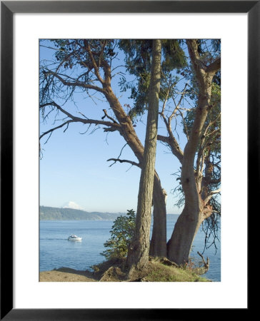 Gig Harbour, Washington State, Usa by Ethel Davies Pricing Limited Edition Print image