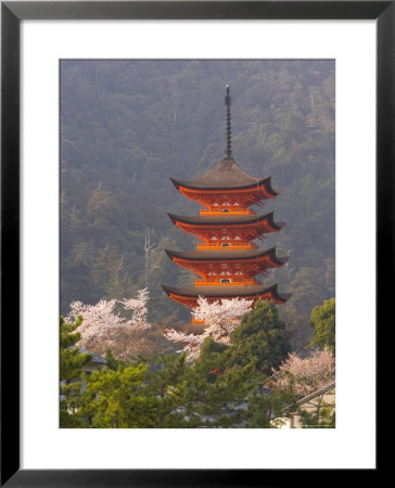 Cherry Blossoms (Sakura) And Famous Five-Storey Pagoda Dating From 1407, Island Of Honshu, Japan by Gavin Hellier Pricing Limited Edition Print image