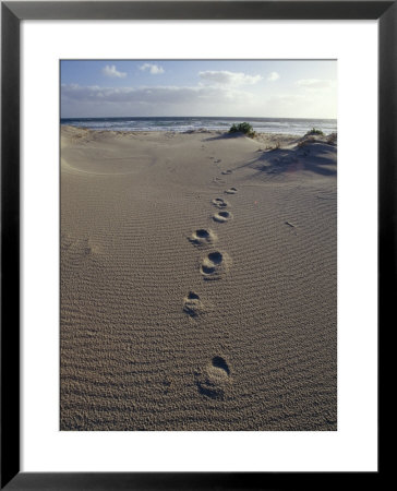Human Foot Prints Cross A Sand Dune On A Remote Beach by Jason Edwards Pricing Limited Edition Print image