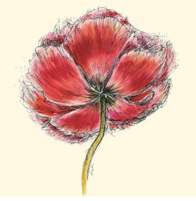 Cerise Poppy by Sophia Flores Pricing Limited Edition Print image