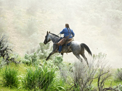 Cowgirl Riding Horse And Herding At Horse Roundup, Malaga, Washington, Usa by Dennis Kirkland Pricing Limited Edition Print image