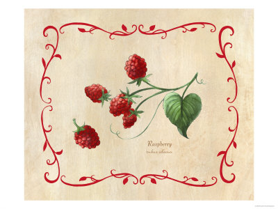 Raspberry by Elizabeth Garrett Pricing Limited Edition Print image