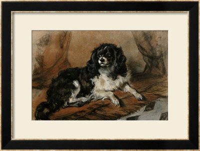 A King Charles Spaniel by Edwin Henry Landseer Pricing Limited Edition Print image