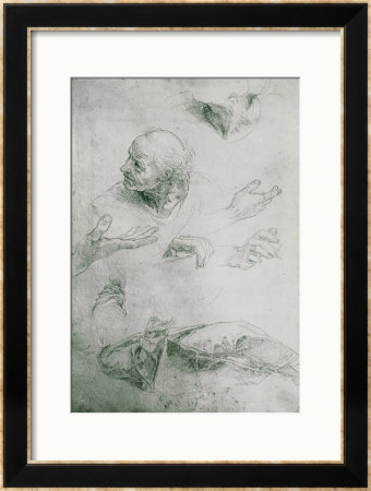 Studies For The Figure Of Bramante (1444-1515) by Raphael Pricing Limited Edition Print image