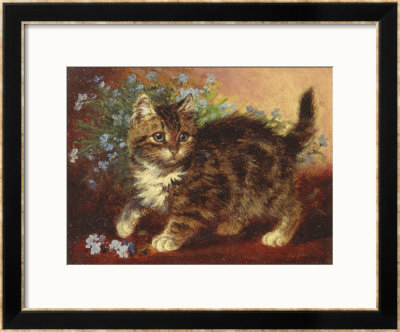 Forget-Me-Not by Wilson Hepple Pricing Limited Edition Print image