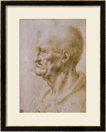 Head Of A Man Seen In Profile by Leonardo Da Vinci Pricing Limited Edition Print image