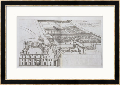 Plan Of The Enclosed Gardens And Chateau De Gaillon, From Les Plus Belles Bastiments De France by J. Androuet Ducerceau Pricing Limited Edition Print image