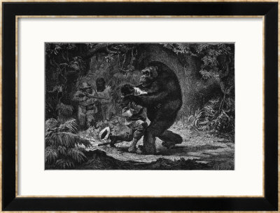 The Gorilla Does Not Go Out Of Its Way To Attack Men by Adrien Marie Pricing Limited Edition Print image