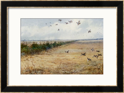 Partridges At Sandringham by Archibald Thorburn Pricing Limited Edition Print image