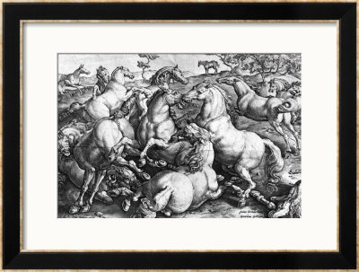 Horses In The Wild by Jan Van Der Straet Pricing Limited Edition Print image