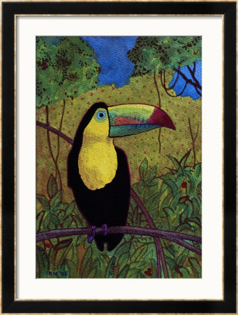 Toucan by John Newcomb Pricing Limited Edition Print image