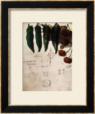 Cherries And Peas, Institut De France, Paris by Leonardo Da Vinci Pricing Limited Edition Print image