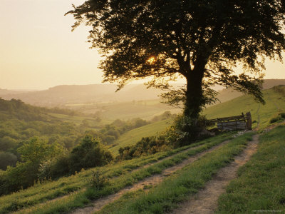 Countryside Near Sidmouth, Devon, Uk by John Miller Pricing Limited Edition Print image